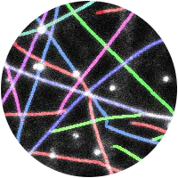 card-image