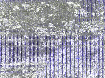 card-image